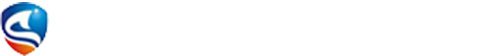 甘肃大圣机电科技有限公司（www.gsdszc.com)